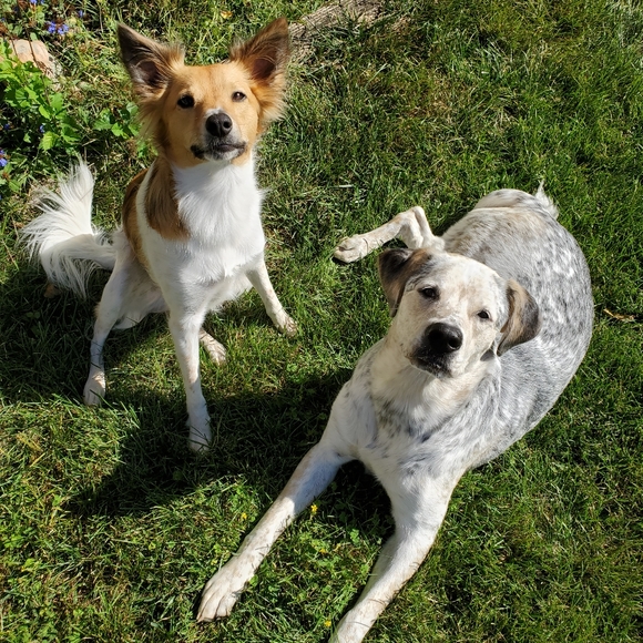 Meet your Posher, Alysa - Picture 2 of 4